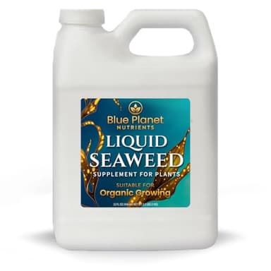 Liquid Kelp Seaweed Fertilizer Concentrate - Blue Planet Nutrients Ascophyllum Nodosum Liquid Seaweed Supplement - Makes 470 Gallons - Quart (32 oz)