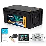 48V Lithium Battery Golf Cart,48V 100AH Golf Cart Batteries with 58.4V 22A Charger and LCD Touch Monitor,Built-in Smart 200A BMS and Bluetooth,Peak Current 600A,Perfect for Ezgo,Yamaha,Club Car
