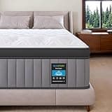BedStory Plush Queen Mattress 12 Inch - Deep Sleep Hybrid Mattresses Pain Relief - 7-Zone Contouring Soft Bed in a Box, Extra Lumbar Support - 365-Night Trial, Fiberglass-Free, CertiPUR-US Certified