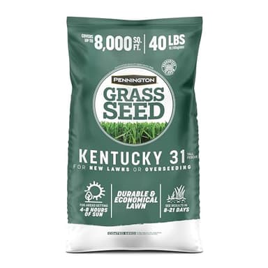 Pennington Kentucky 31 Tall Fescue Penkoted Grass Seed 40 lbs