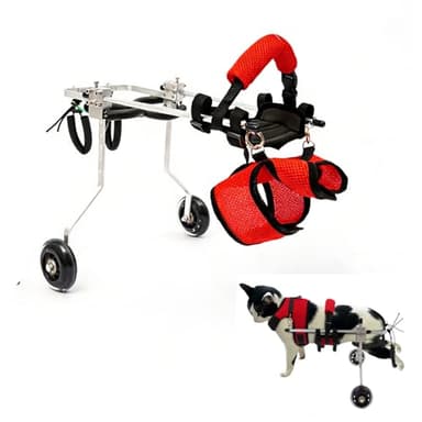 LIAUHO Cat Wheelchair, Cat Wheel for Back Legs, Cat Barrier Wheels, Adjustable Pet Wheelchair for Disabled Hind Legs Walking, Arthritis, Paralyzed, Injured Small Pets (for Adult Pets)