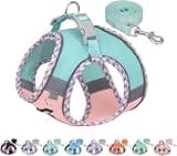 AIITLE No Pull Dog Harness and Leash Set, Step in Adjustable Dog Harness with Padded Vest for Spring, Reflective Adjustable Pet Harness, Easy to Put on Small Dogs Turquoise-Pink S