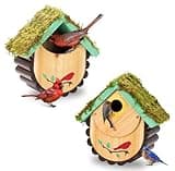 2in1 Bluebird House for Outside - Cedar Wood Large Open Bird House Nestbox - Birdhouse for Wall Pole Mountable - 1.5" Brass Hole Plate - Heavy Duty 13/16" Thickness - Weather Proof for 10 Years Usage