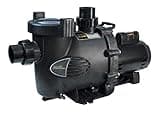 Jandy FHPM 1.0 FloPro, Single Speed 1-Horsepower Swimming Pool Pump