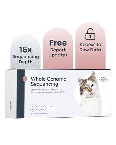 Basepaws Cat DNA Test Kit - Comprehensive Breed, Health and Dental Analysis Across 114 Traits for Accurate and Easy-to-Use Genetic Insights (Cat Whole Genome Sequencing, Basic)