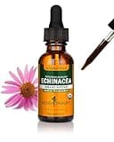 Herb Pharm Organic Echinacea Root Extract, Alcohol-Free: Immune System Support for All Seasons, Fast-Acting Echinacea Plant Supplement, Non-GMO, Vegan & Gluten-Free, 1 Oz