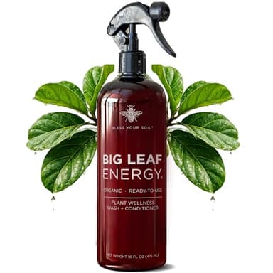 Neem Oil Spray for Plants – Big Leaf Energy, with Essential Oils – Ready-to-Use Plant Spray for Outdoor & Indoor Plants, Made in USA (16 fl oz)