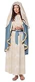 California Costumes Adult Virgin Mary Costume (X-Large)