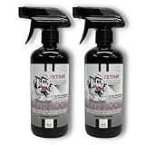 The Stink Solution Bathroom Odor Eliminator Spray Completely & Safely Removes Human Waste, Vomit, & Other Odor Fast | Urine Remover, Toilet Spray, Bathroom Deodorizer - 2 16 oz Bottles (Shower Fresh)