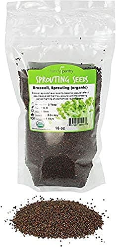 Handy Pantry Broccoli Sprouts Seed Organic- 1 Lb - Non-GMO Organic Broccoli Seeds for Sprouting, Microgreens Sprouting Seeds, Contain Sulforaphane