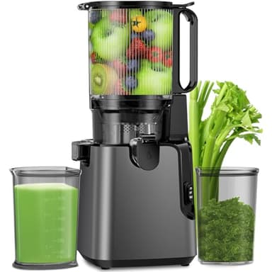 Juicer Machines with 5.4" Large Feed Chute, 400W Cold Press Juicer for Whole Vegetables and Fruits, Slow Masticating juicer Easy to Clean Juice Extractor Machine High Juice Yield(Titanium Gray)