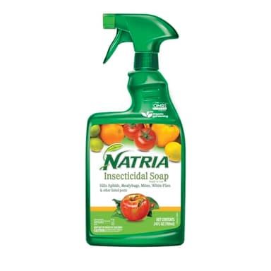 NATRIA Insecticidal Soap, Ready-to-Use Garden Bug Treatment, Insect Killer for Indoor and Outdoor Plants, 24 Ounce
