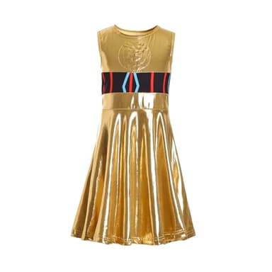 Ruikajia Halloween Cosplay Costume C3PO Inspired Skater Dress costume 4 Years