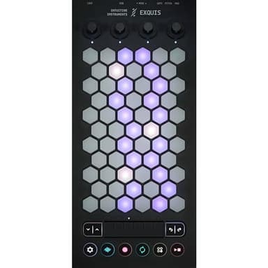 Intuitive Instruments Exquis 61-Key MPE MIDI Controller