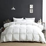 APSMILE King Size Luxury 100% Organic Cotton All Season Down Feather Fibers Comforter, Extra Fluffy Medium Warmth Duvet Insert(106x90, Ivory White)