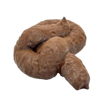 Fake Dog Poop for Fun Jokes