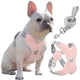 Pawaboo Small Dog Harness and Leash Set, Puppy Harness X-Frame No Pull No Choke, Dog Vest Harness Adjustable for Small Medium Sized Dogs, Soft Breathable Pet Harness for Walking Outing (L, Pink)