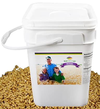 Wheatland Oat Groats • 20 Pound Bucket with Mylar lining • USA Grown • Non-GMO • Lab Tested • Sproutable • Whole Grain • Emergency Food Storage 15 year shelf life