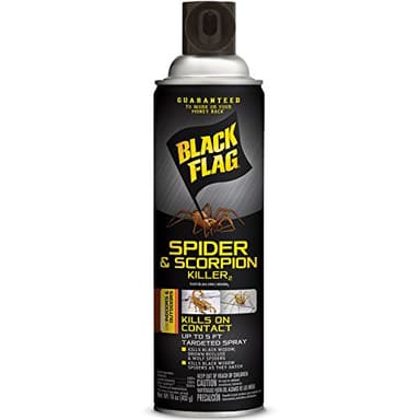 Black Flag Spider and Scorpion Killer 16 Ounces, Aerosol Insecticide Spray, 12 Pack
