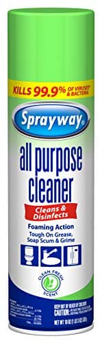 Sprayway All Purpose Disinfectant Cleaner, Foaming Action, 19 Ounce