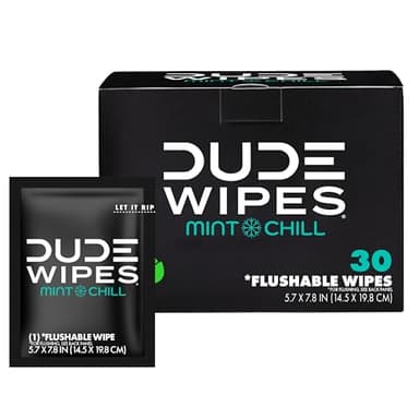 DUDE Wipes On-The-Go Mint Chill Travel Wipes - 30 Count (Individually Wrapped) - Extra-Large Cleansing Flushable Wipes - Infused with Tea Tree Oil, Eucalyptus, and Aloe - Septic and Sewer Safe