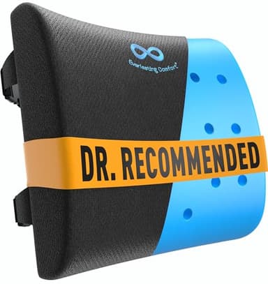 Everlasting Comfort Lumbar Support Pillow for Office Chair - Memory Foam Back Cushion for Car Seat - Promotes Better Posture, Back Pain Relief - Ideal Gaming and Desk Chairs Work and Home Essentials