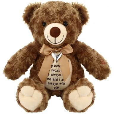 Silipull 12 Inch Bear Stuffed Animals with Voice Recorder Photo Pendant Set Cute Soft Plush Bear Messages Playback Stuffed Animals with Zipper for Boys Girls(Dark Brown)
