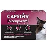 CAPSTAR (nitenpyram) Oral Flea Treatment for Cats, Fast Acting Tablets Start Killing Fleas in 30 Minutes, Cats 2-25 lbs, 6 Doses