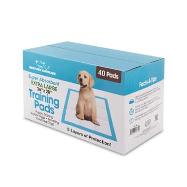 Best Pet Supplies XL (36 x 28 Inches) Puppy Pads 40 Count - Super Absorbent Dog Training Pads, Quick-Dry, Odor Control, Disposable Pee Pads, Leak-Proof Wee Wee Pads for Indoor Dogs – Baby Blue