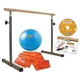 GoFit Brown GoBarre Workout Set (GF-BBAR)