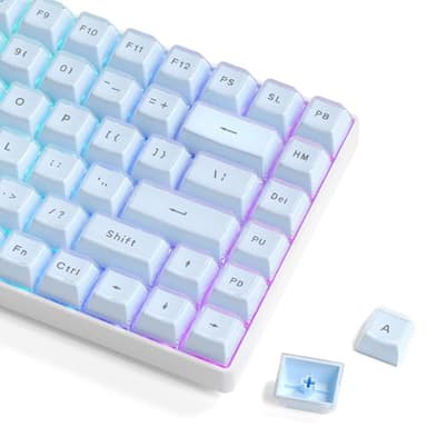 Womier Jelly Keycaps, Mechanical Keyboard for keycaps Set, OEM Profile Clear Key Cap, 113-Key Blue Cute Custom Keycaps for 60%,75%,100% Mechanical Keyboards with Cherry/Gateron MX Switches