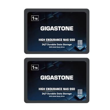 Gigastone 【NAS Certified】 High Endurance 1TB SSD (2-Pack) for Gaming/PC/Laptop/NAS SSD TLC 24/7 Reliable 2.5" SATA Internal Solid State Drives RAID Data Storage 2.5 inches SATA 3.0