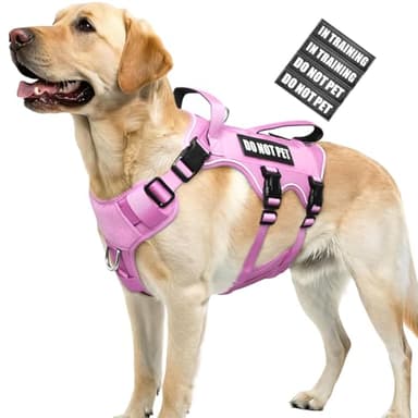 WINSEE Escape Proof Dog Harness, Service Working Molle Harness with Double Handle, Tactical Pet Vest with 4 Patches for Small Medium Large Dogs Walking Hiking Hunting