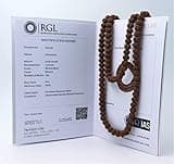 ShivaRatna Rudraksha Mala 108+1 Beads (Pathri Mala/Chikna Mala) ISO Lab Certified