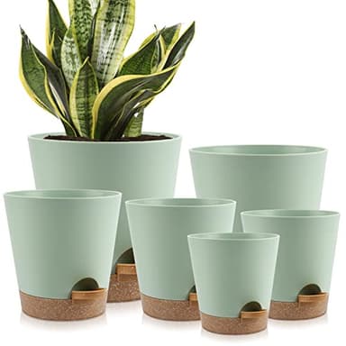 YNNICO Indoor Self Watering Planters with Drainage Holes and Saucers, 8, 7, 6.5, 6, 5.5, 5 Inches, Green, 6 Pots.