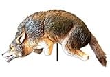 Bird-X 3D Coyote Decoy, Lifelike Predator Replica, Coyote Decoy with Moving Tail and Realistic Markings, Easy to Install, Covers up to 1 Acre of Land, 32"x8"x30"