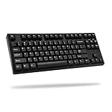 ikbc CD87 V2 Ergonomic Mechanical Keyboard with Cherry MX Blue Switch for Windows and Mac, Tenkeyless Keyboard Upgraded with Mistel PBT Double Shot Keycaps for Desktop and Laptop, Solid Build Quality