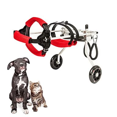 Dog Wheelchair Adjustable Dog Cart Lightweight Pet/Doggie Wheelchairs for Back Legs Assist Small Pets with Paralyzed Hind Limbs to Recover Their Mobility (M) Red