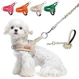 BEAUTYZOO Dog Harness for Small Dogs, No Pull Dog Harness and Leash Set, Soft Escape Proof Puppy Vest Harness with Handle, Reflective Lightweight Step in Harness for Girl Boy Dogs, Beige XS