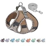 AIITLE Tiny Dog Harness - Lightweight Mesh Step-in Vest for Puppy, Reflective & Escape-Proof Design with High-Stick Velcro - Indoor/Outdoor Use for Chihuahua, Maltese, Shih Tzu(Brown-Beige, XXXS)