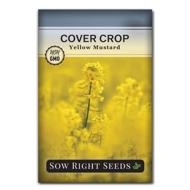 Sow Right Seeds - Yellow Mustard Seed for Planting - Cover Crops to Plant in Your Home Garden - Enriches Soil - Suppresses Weeds - Cold Hardy - Non-GMO Heirloom Seeds - Great Gardening Gift (1)