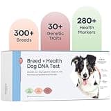 Basepaws Dog DNA Testing Kit - 300+ Breeds, 280+ Health Risks, and 30+ Traits - Comprehensive Mixed Breed Identification, Pet DNA Test kit, Canine Genetic Ancestry and Heritage
