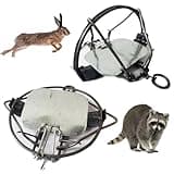Pack of 2 Classic Rat Traps Mole Trap Rodent Cage Possum Trap Gophers Trap Groundhog Trap Fully Galvanized - Humane Rat Traps That Work - Durable Reusable Rat Trap (6in - 2pack)