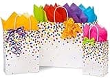 Stephanie Imports Made in USA Set of 6 Rainbow Confetti Paper Shopping Bags (3 sizes) With Tissue Paper - 100% Recyclable