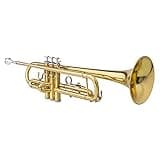 Trumpet Standard Trumpet Set with Carrying Case,Nickelplated Drop B Adjustable Trumpet Gloves Set for Beginners or Advanced Students,Gold