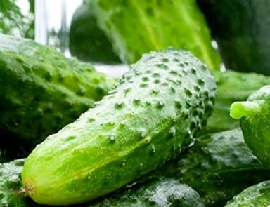 100 Boston Pickling Cucumber Seeds for Planting Non GMO Heirloom Seeds Fresh Vegetable Garden Seed