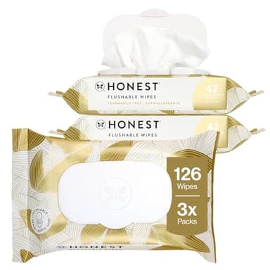 The Honest Company Flushable Wipes for Sensitive Skin, Hypoallergenic, Fragrance-Free, Gilded Wings Design, 126 Count