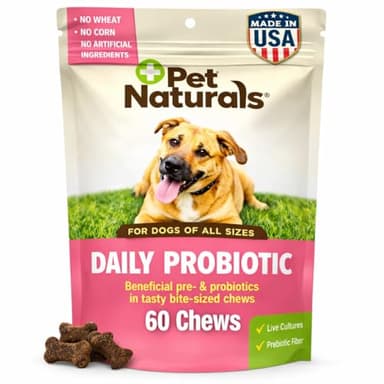 Pet Naturals Probiotics for Dogs – 60 Soft Chews, Dog Probiotic Chews for Digestive & Gut Health Support, 120M CFUs + Prebiotics, Immune Support for Occasional Upset Stomach, Duck Flavor, All Breeds
