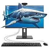 23.8” All-in-One Desktop Computer, AMD Ryzen7-3700U Quad Core Chipset Up to 4.0GHz,16GB RAM 512GB SSD,Wifi BT Full HD IPS Display, USB3.0 Built-in Speaker Keyboard Mouse for Gaming Office Study Black