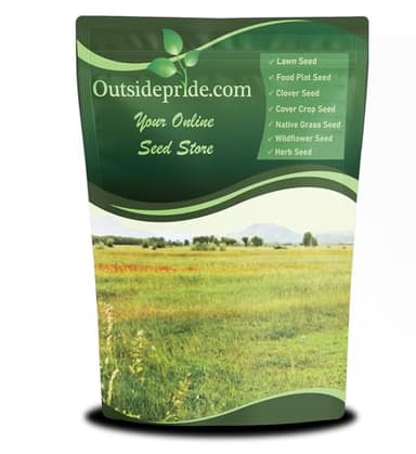 Outsidepride Perennial Short Native Grass Seed Mix - 1 lb. Premium Mix of Blue Grama, Buffalo, Sideoats Grama, & Sheep’s Fescue Grass Seeds for Low-Maintenance, Heat & Drought-Tolerant Landscaping